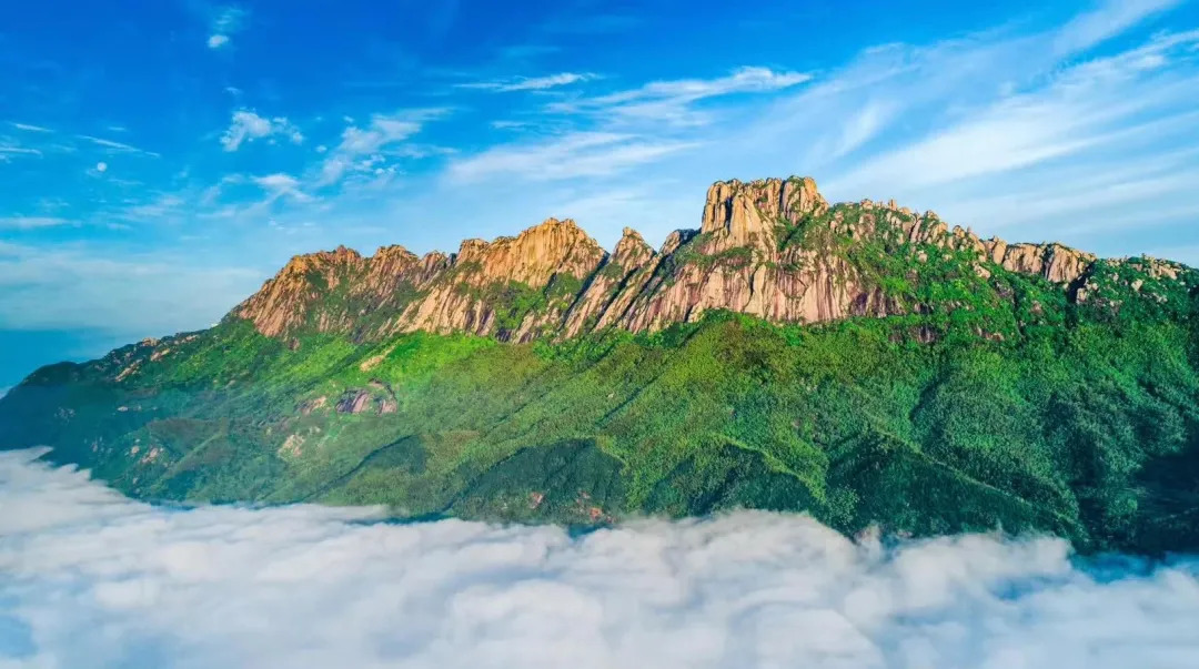 灵山景区对徐诗晓及其家人送上终身免费畅游灵山大礼包
