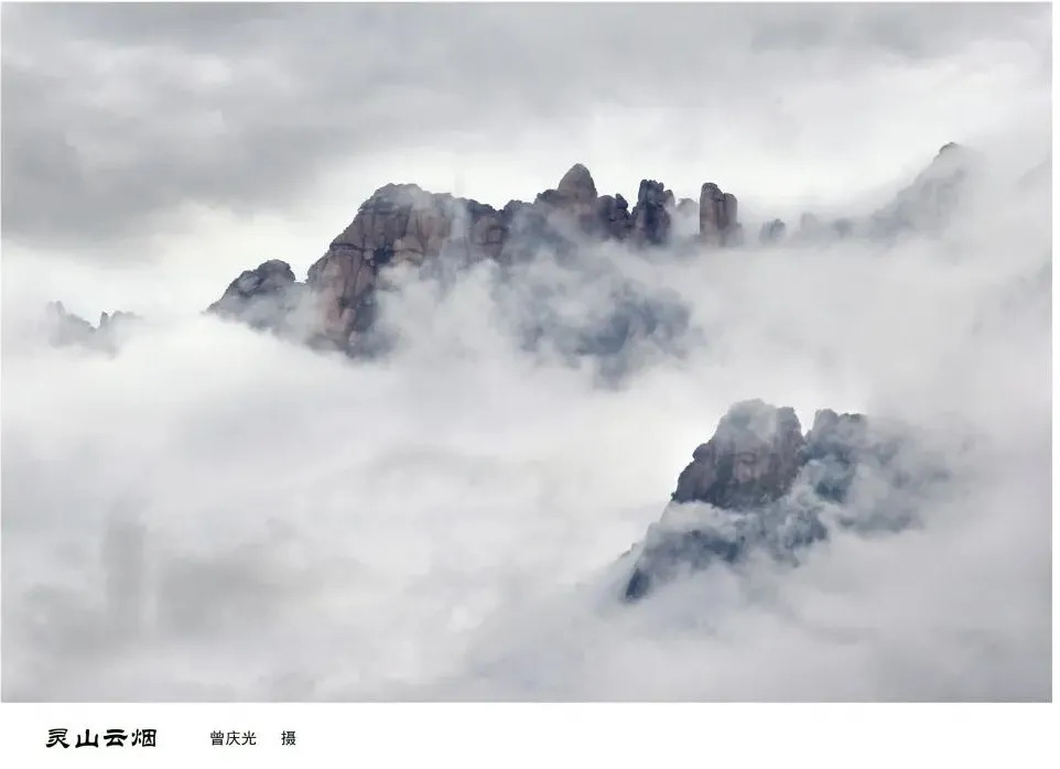 灵山景区对徐诗晓及其家人送上终身免费畅游灵山大礼包