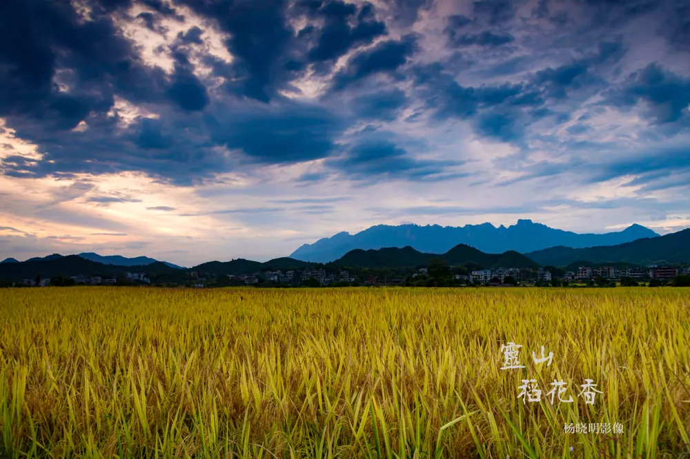 九九重阳节，浓浓敬老情｜灵山景区重阳节优惠活动来袭