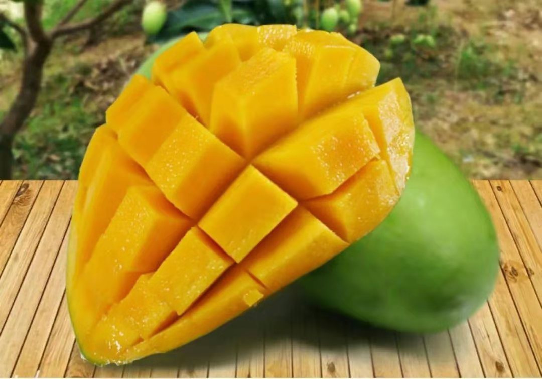 全球征集 | 红河州河口县千万元大奖征集农产品区域公共品牌名