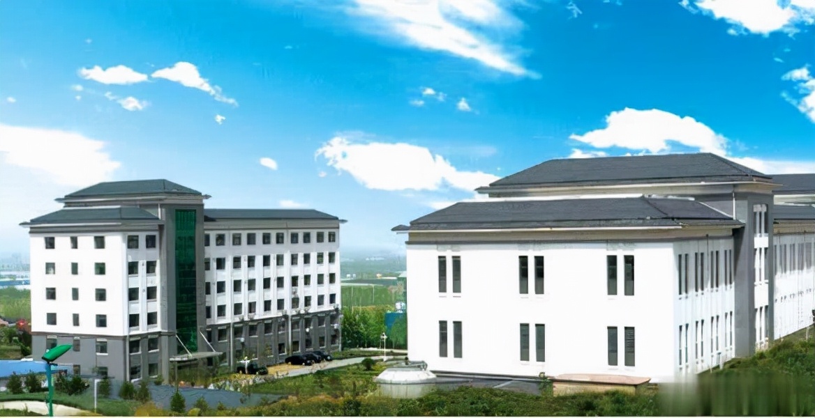 全汁深酵，富含黄酮，圣八礼征战春节黄金档成绩斐然