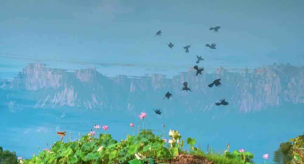 云开“疫”散，相约灵山！江西灵山景区恢复营业