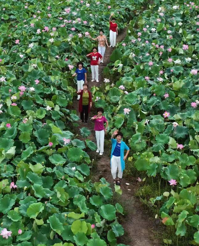 江西上饶：荷花绽放醉游客