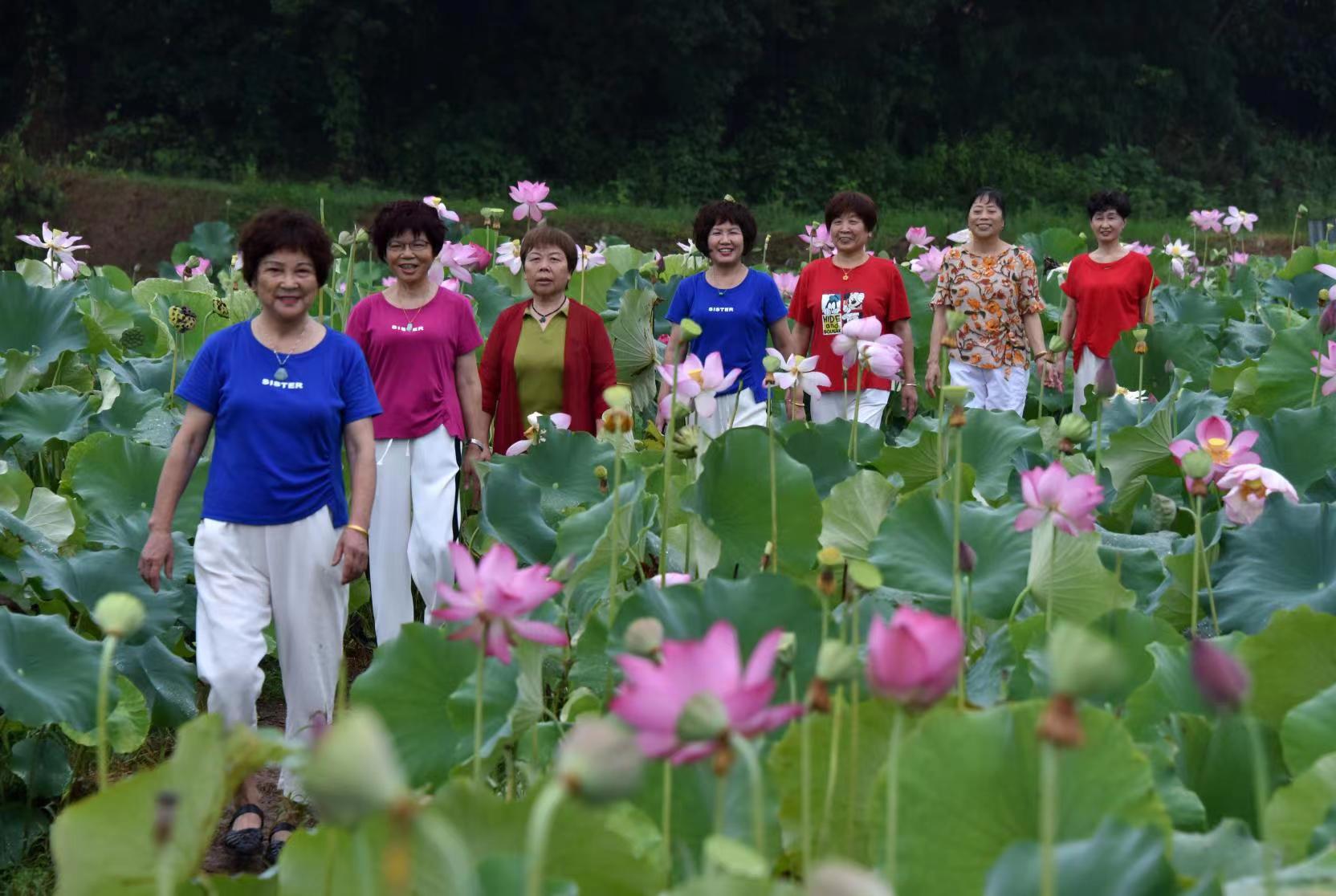 江西上饶：荷花绽放醉游客