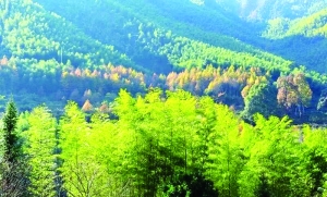 1702887262633030369.jpg f4e9541adbfb8e3a6a2f5d84af277df5_93691702771925974.jpg