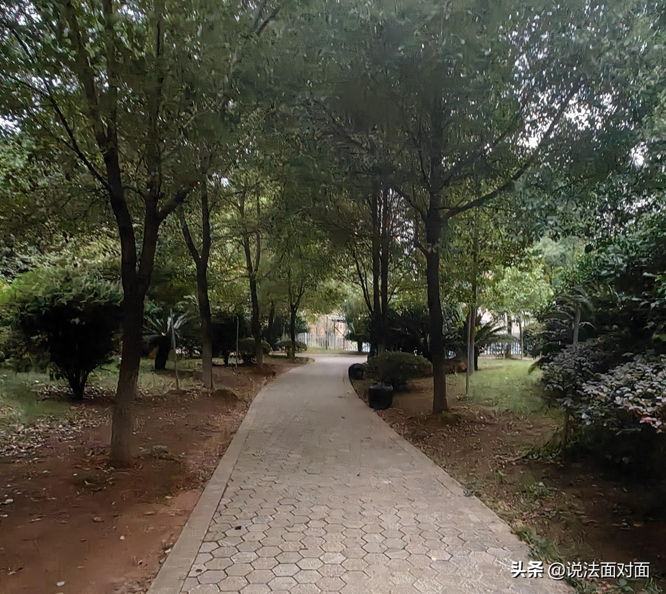 帮牌馆收取“台子费”的女子,是否构成开设赌场罪共犯,成功取保 帮牌馆收取“台子费”的女子,是否构成开设赌场罪共犯,成功取保