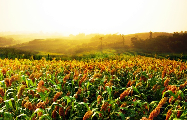 1732510565544790.jpg B2_副本.jpg