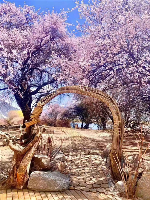微信图片_20250418155305.jpg