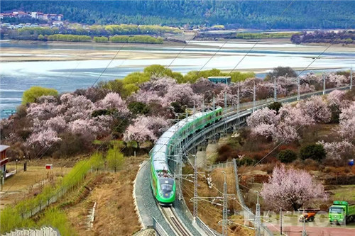 1744963794448219.jpg 微信图片_20250418155220.jpg