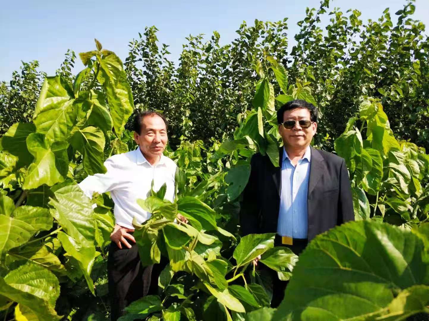 1762331964884260.jpg 1.jpg