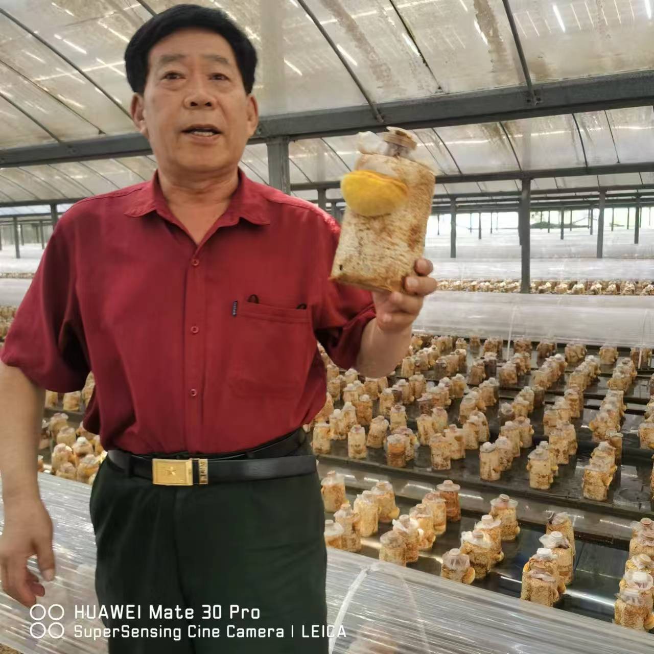 1762331988144093.jpg 3.jpg