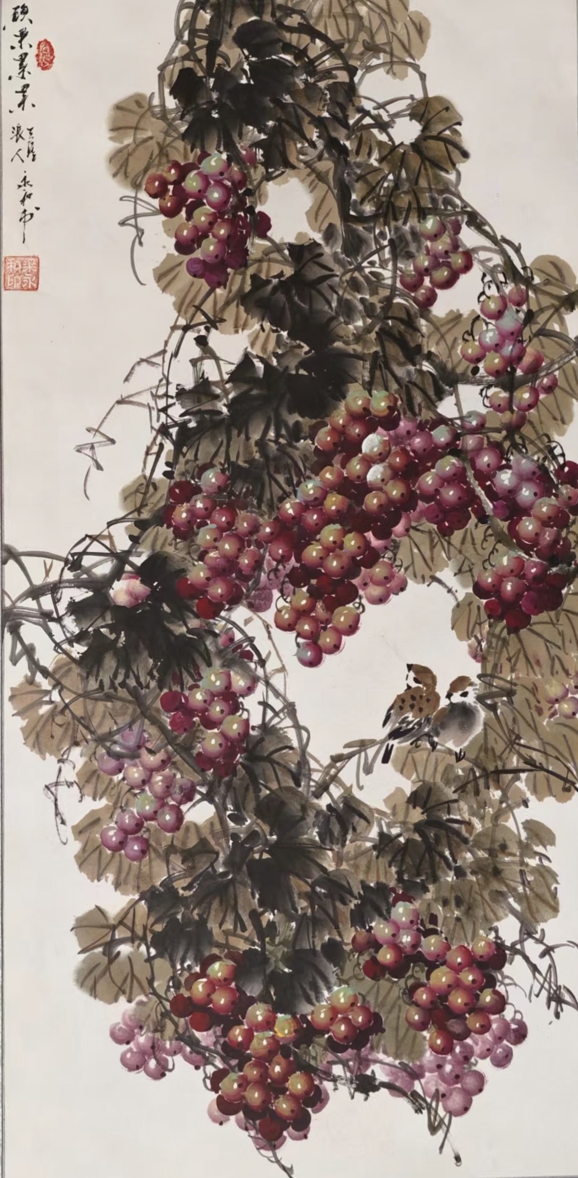 1763370467228184.jpg 39cd1660926b52af30d427bf78452665.jpg