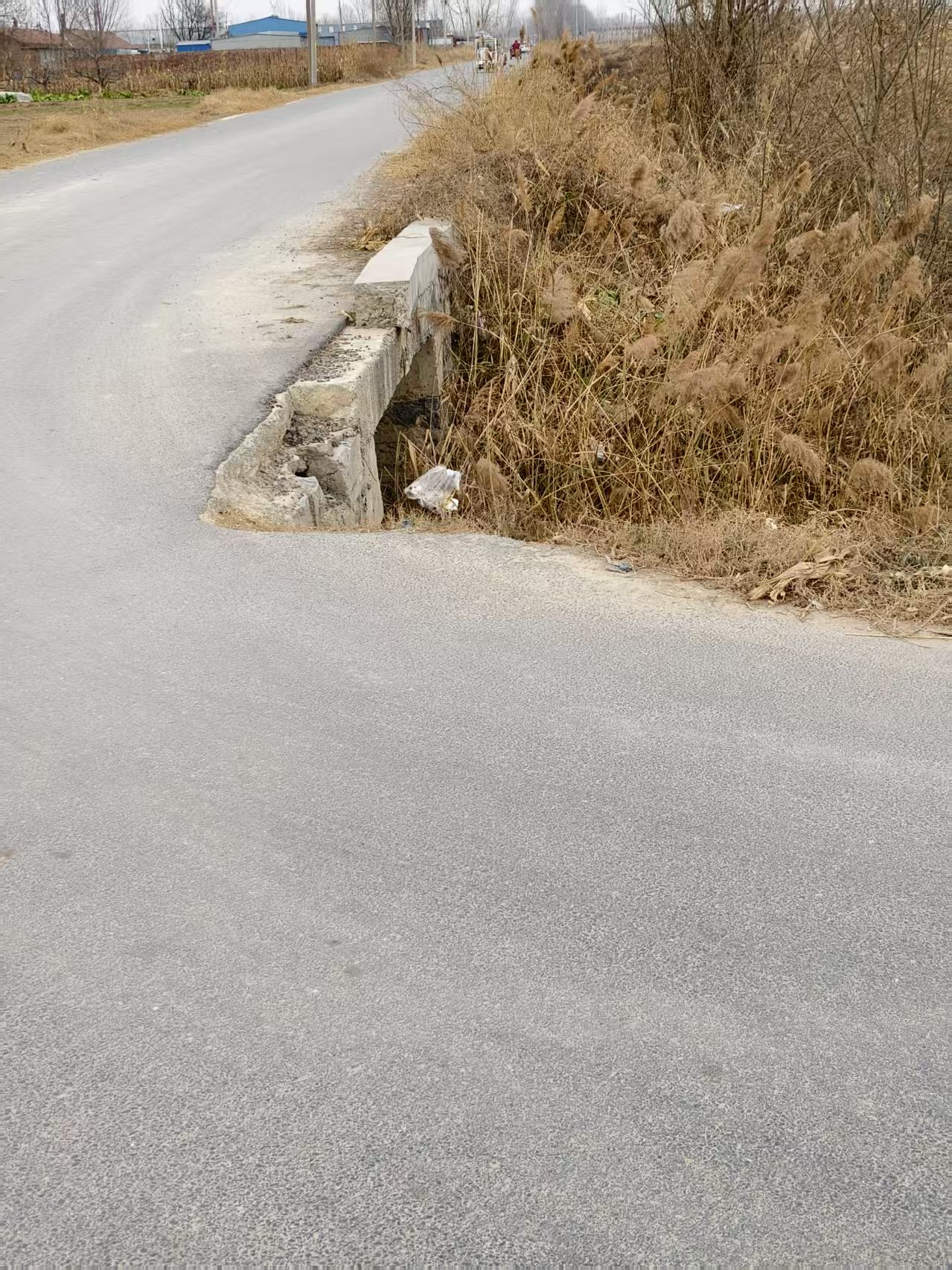 1765676107803012216.jpg 1765676107803012216.jpg