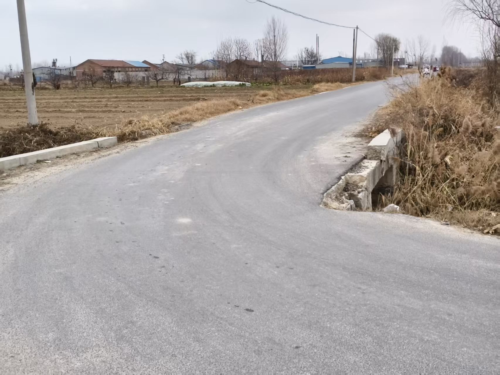 1765676188502037350.jpg 1765676188502037350.jpg