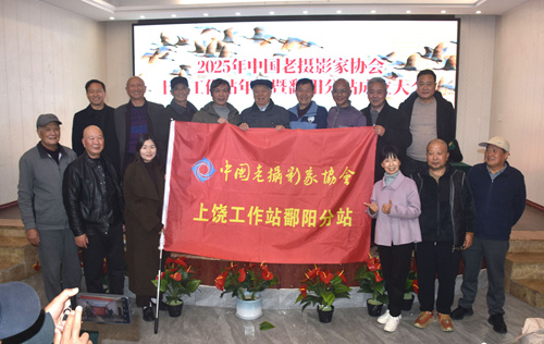 1765960702173090544.jpg 图为活动现场。 (5).jpg