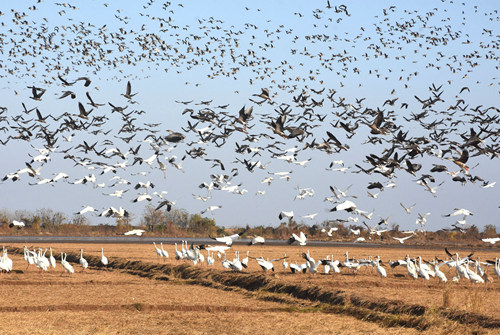 1765960862152044934.jpg 图为活动现场。 (18).jpg