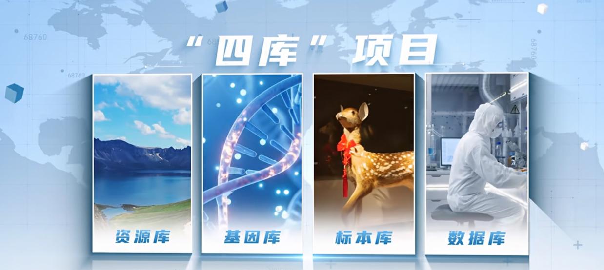图示, 示意图

中度可信度描述已自动生成:ver1